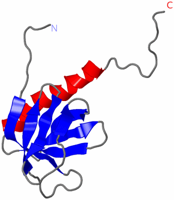 Image NMR Structure - model 1