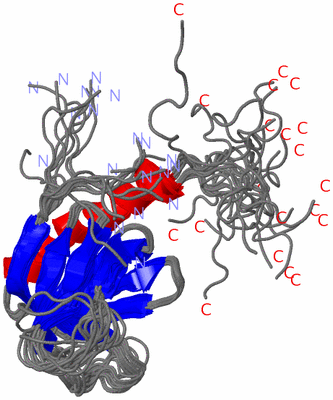 Image NMR Structure - all models