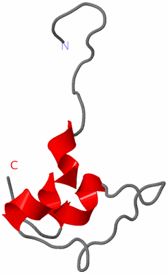 Image NMR Structure - model 1