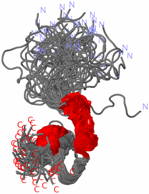 Image NMR Structure - all models