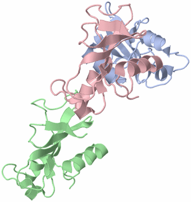 Image Asymmetric Unit