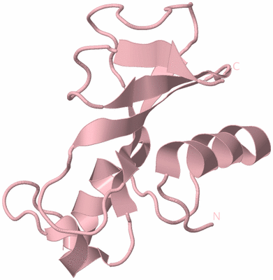 Image Biological Unit 3