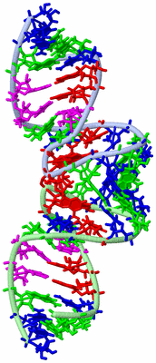 Image NMR Structure - model 1