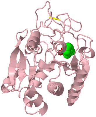 Image Biological Unit 3