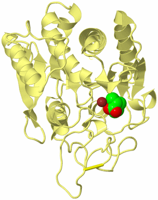 Image Biological Unit 4