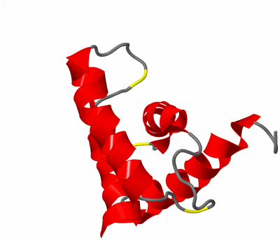 Image NMR Structure - model 1