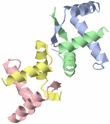 Image Asym./Biol. Unit