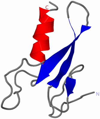 Image NMR Structure - model 1