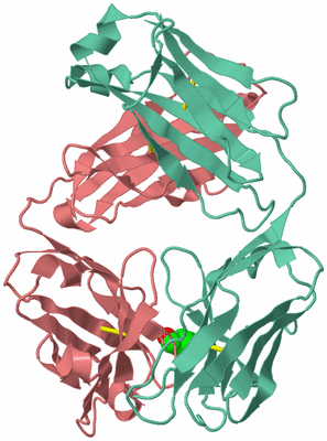 Image Biological Unit 1