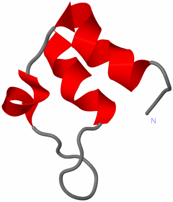 Image NMR Structure - model 1