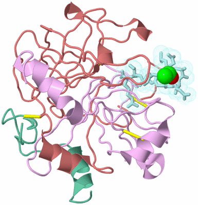 Image Biological Unit 1