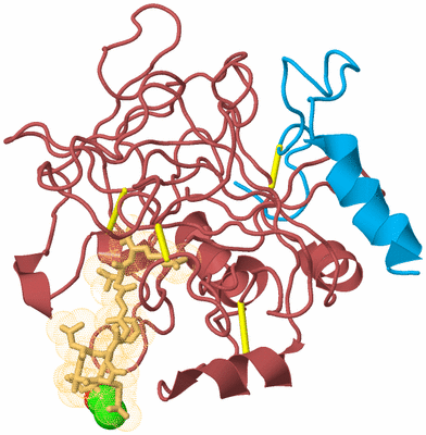 Image Biological Unit 2