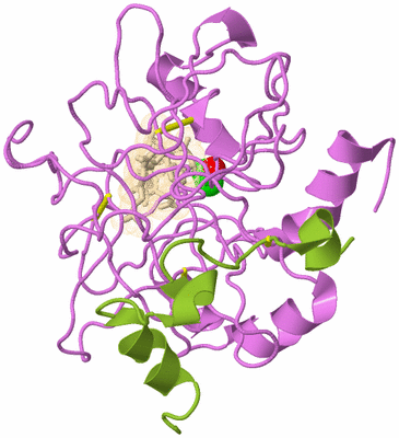 Image Biological Unit 3