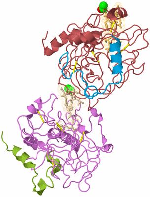 Image Biological Unit 4