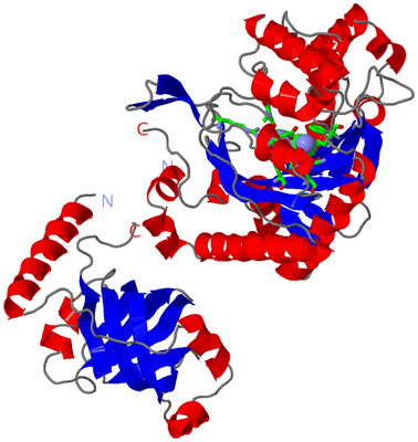 Image Asym. Unit - sites