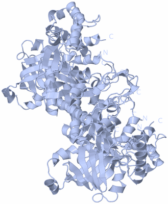 Image Biological Unit 1