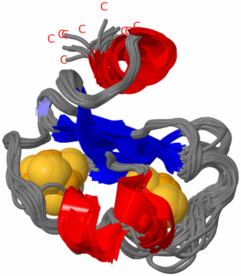 Image NMR Structure - all models