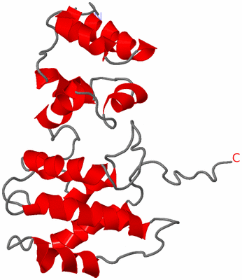 Image NMR Structure - model 1