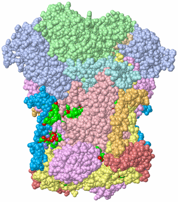 Image Biol. Unit 1 - sites