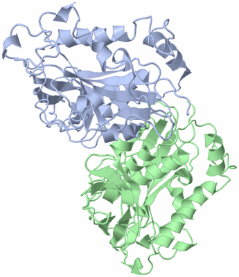 Image Asym./Biol. Unit