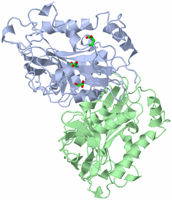 Image Asym./Biol. Unit - sites