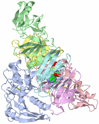 Image Biological Unit 1