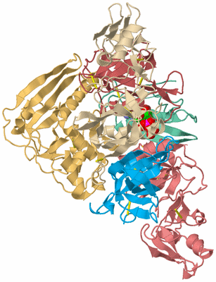 Image Biological Unit 2