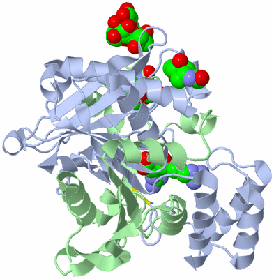 Image Asymmetric Unit
