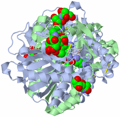 Image Biological Unit 1