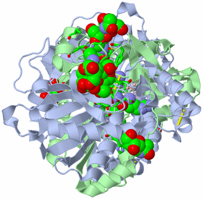 Image Biol. Unit 1 - sites