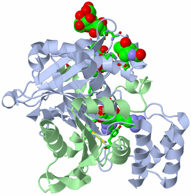 Image Asym. Unit - sites