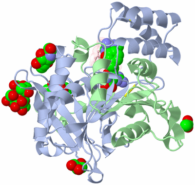 Image Asymmetric Unit