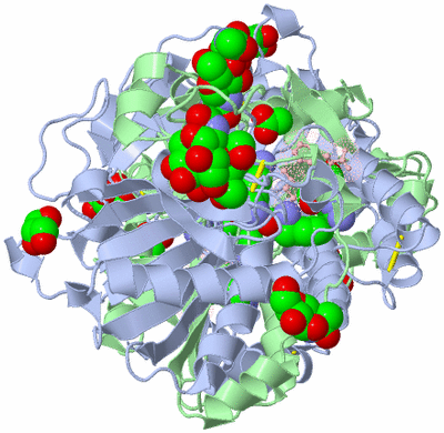 Image Biological Unit 1