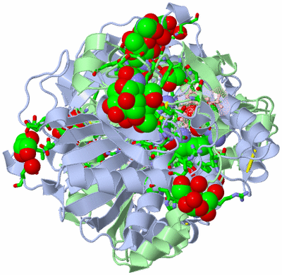 Image Biol. Unit 1 - sites