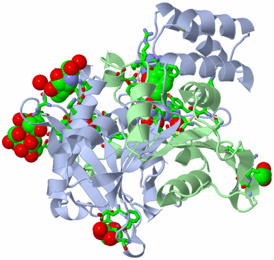 Image Asym. Unit - sites