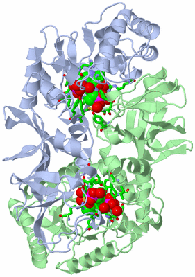 Image Asym./Biol. Unit - sites