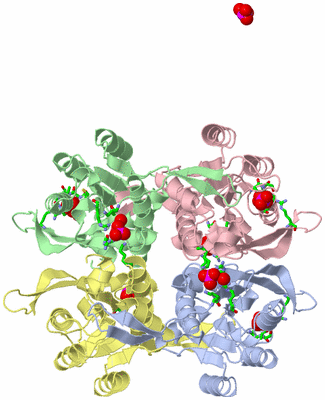 Image Asym./Biol. Unit - sites