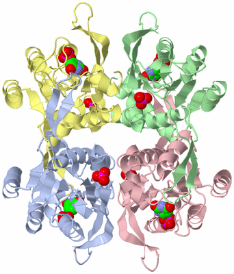 Image Asym./Biol. Unit