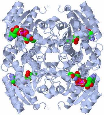 Image Biological Unit 1