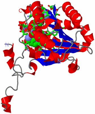 Image Asym. Unit - sites