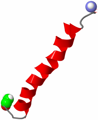 Image NMR Structure - model 1