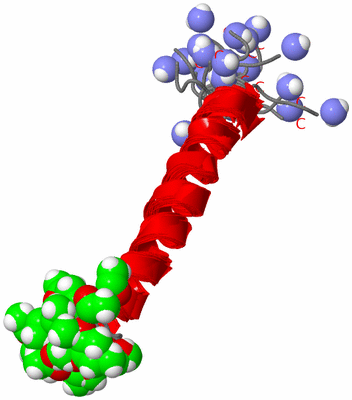 Image NMR Structure - all models