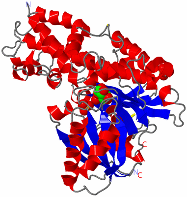 Image Asym./Biol. Unit