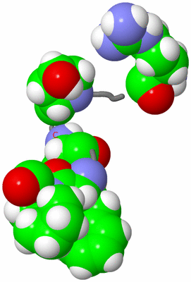 Image NMR Structure - model 1