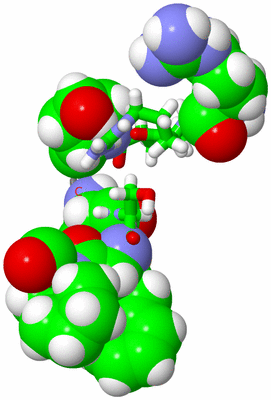 Image NMR Structure - model 1, sites