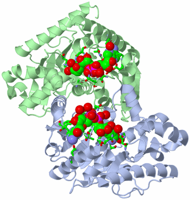 Image Asym./Biol. Unit - sites