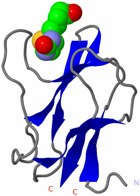 Image Asymmetric Unit