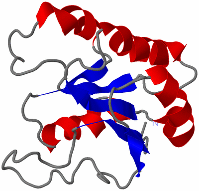 Image NMR Structure - all models