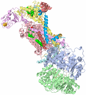 Image Biological Unit 1