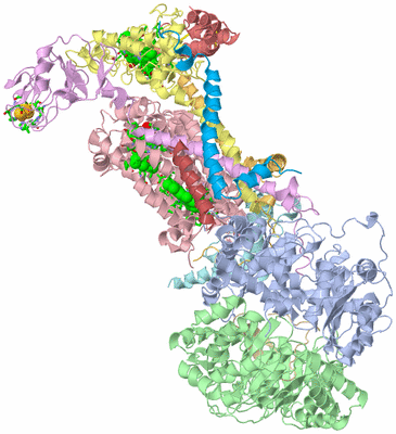 Image Biol. Unit 1 - sites